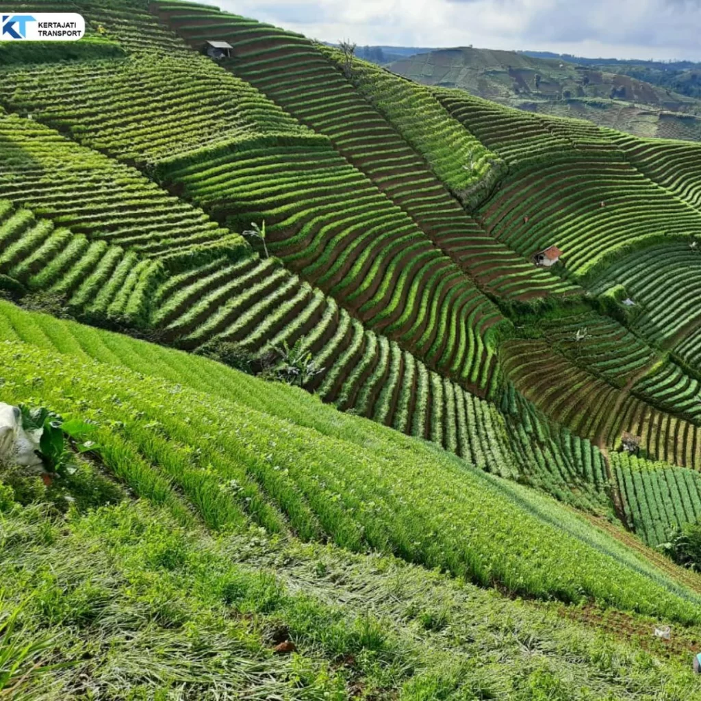 Antar Jemput Bandara Kertajati