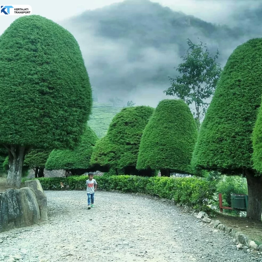 Travel Ciwidey Kertajati