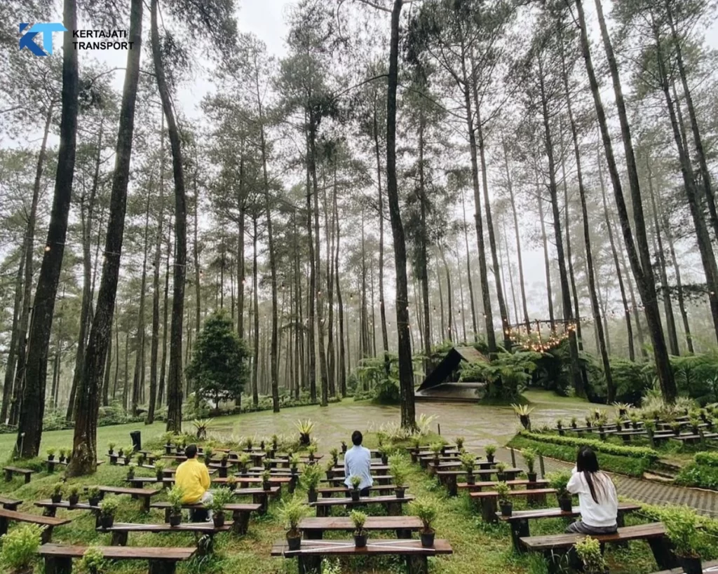 Orchid Forest Cikole