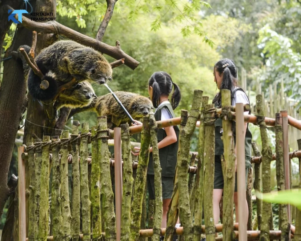 Kebun Binatang Bandung