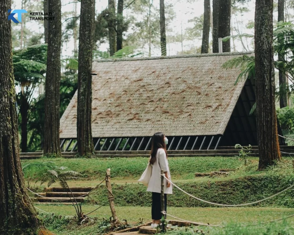 Orchid Forest Cikole