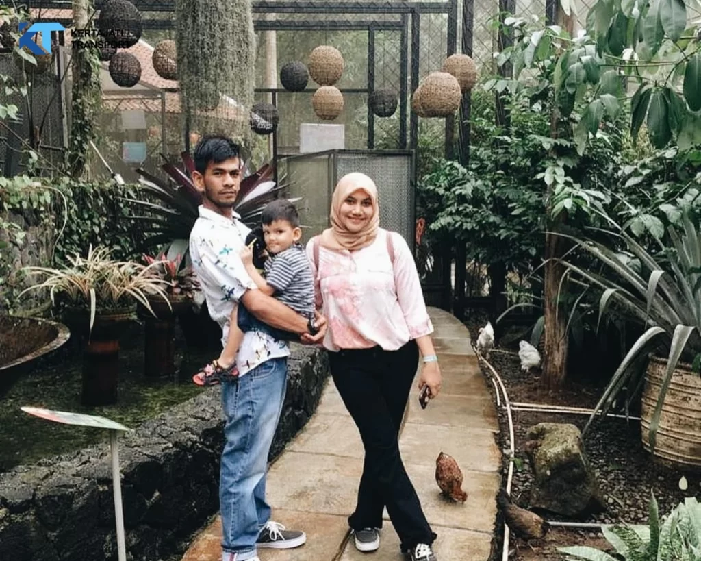 Bird Bromelia Pavilion