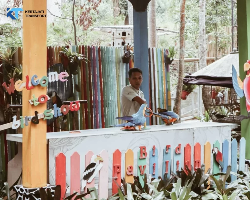 Bird Bromelia Pavilion