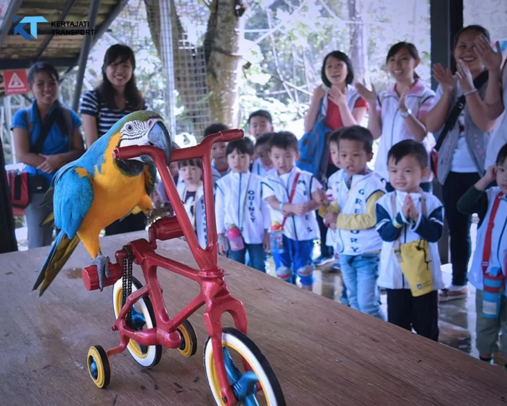 Bird Pavilion Bandung