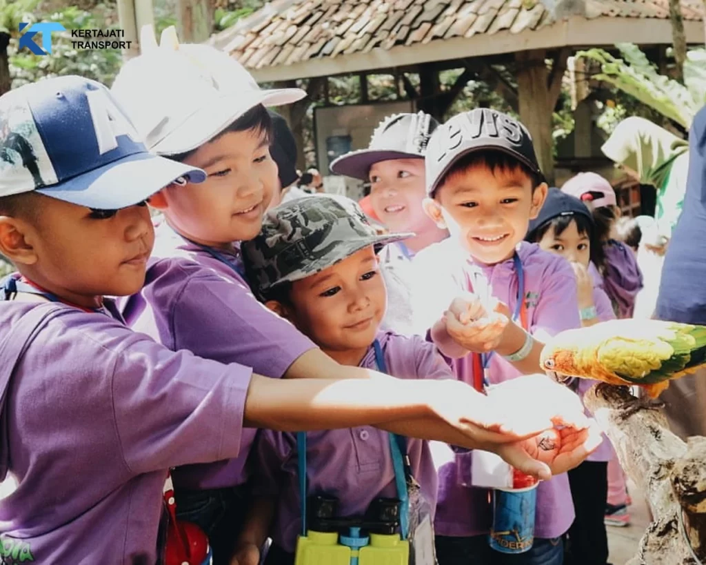 Bird Pavilion Bandung