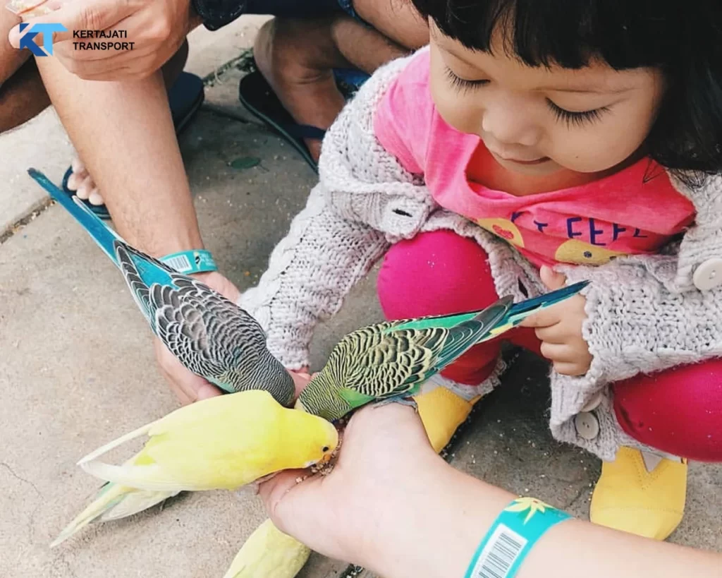 Bird Pavilion Bandung