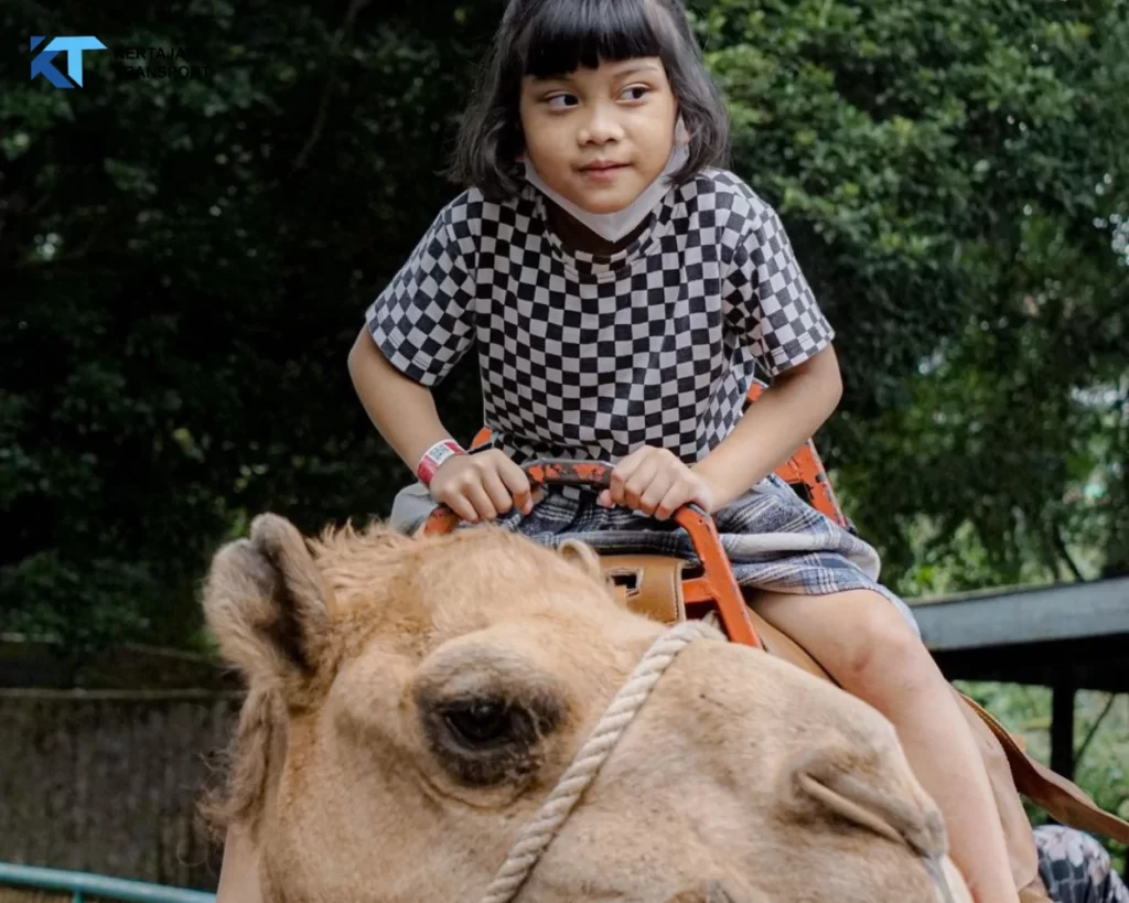 Kebun Binatang Bandung