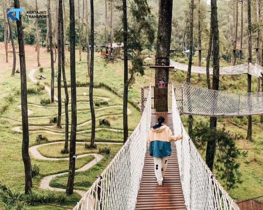 Orchid Forest Cikole