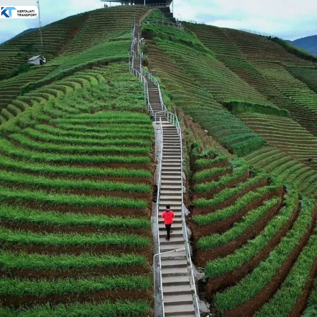 Terasering Panyaweuyan