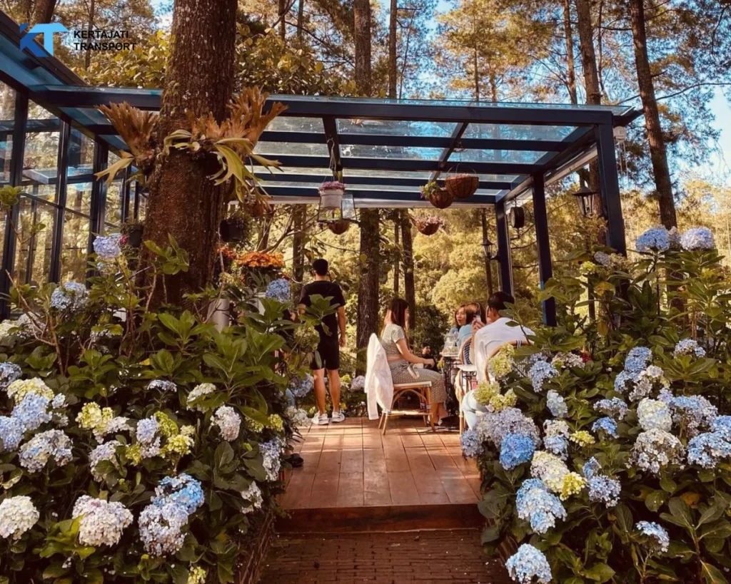 Orchid Forest Cikole