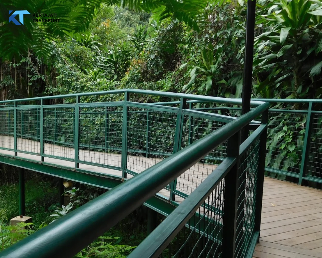 Forest Walk Babakan Siliwangi